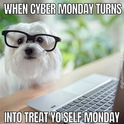 monday memes|funny cyber monday meme.